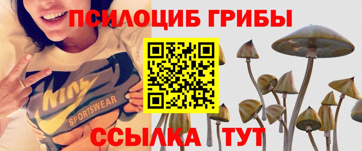 Чебоксары  Псилоцибиновые грибы GOLDEN TEACHER  Вход с VPN  Галлюциногенные грибы Psilocybe 